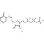 Adenosina 5'-trifosfatasa, sal disódica (ATP-2Na);N.º CAS: 987-65-5
